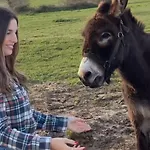 Hotel Niditas & Horses *