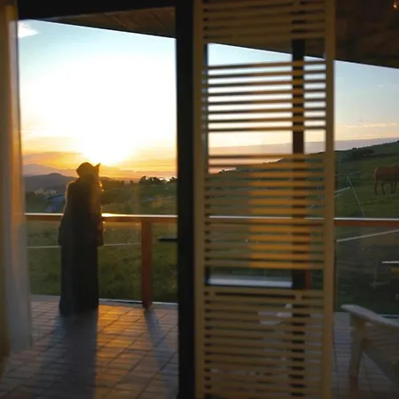 Niditas & Horses 酒店