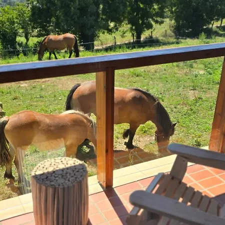 Niditas & Horses 桑提亚纳德玛