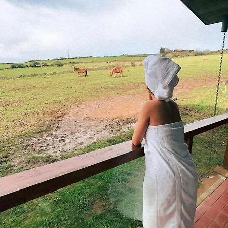 Niditas And Horses Hotel *