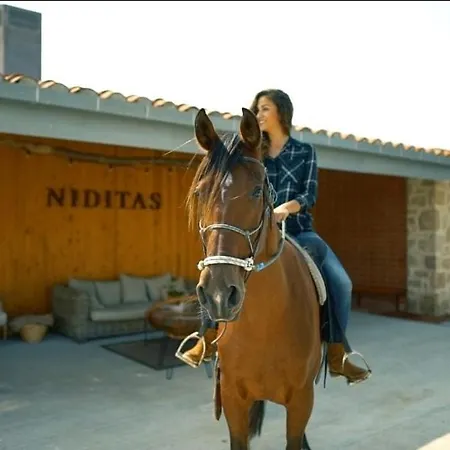 Niditas And Horses Santillana del Mar