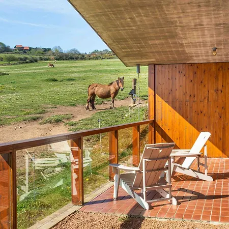 Niditas And Horses * Yuso