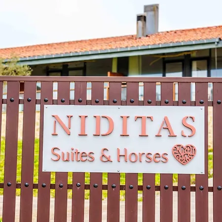 Niditas And Horses Yuso