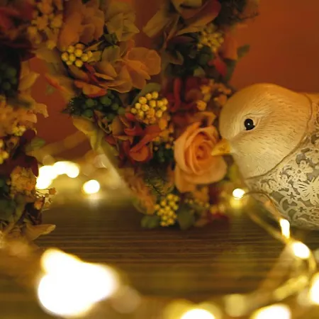 Niditas & Horses 酒店