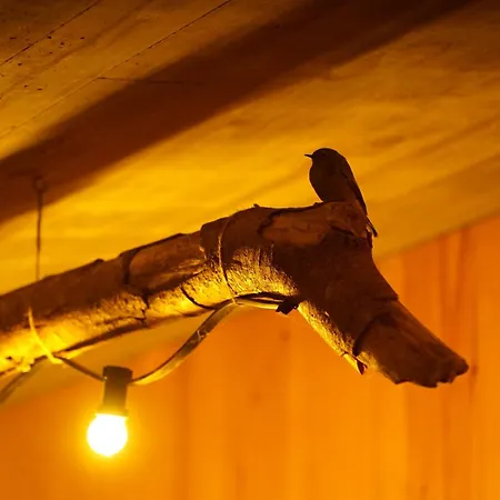 Niditas & Horses * 桑提亚纳德玛