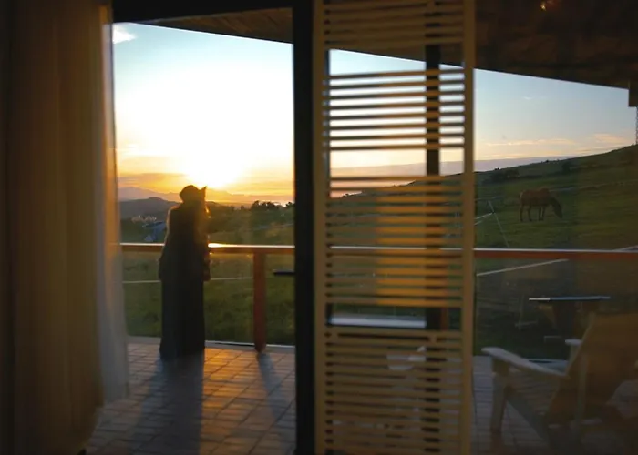 Niditas & Horses Отель