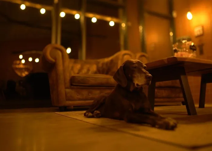 Niditas & Horses * Сантильяна-дель-Мар