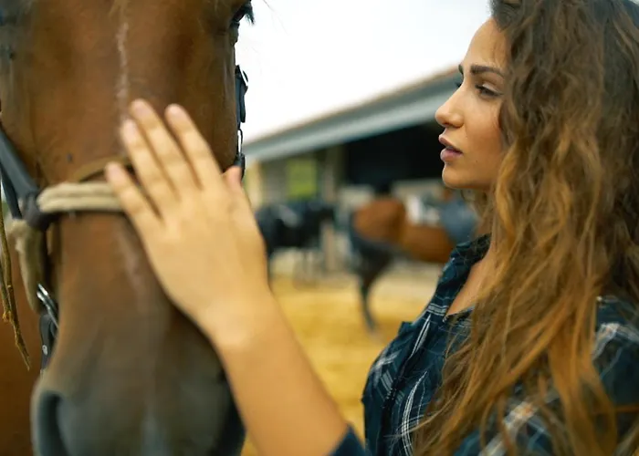 Niditas & Horses Сантильяна-дель-Мар