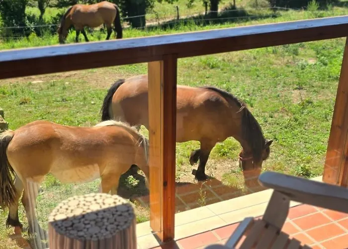 Niditas & Horses Сантильяна-дель-Мар