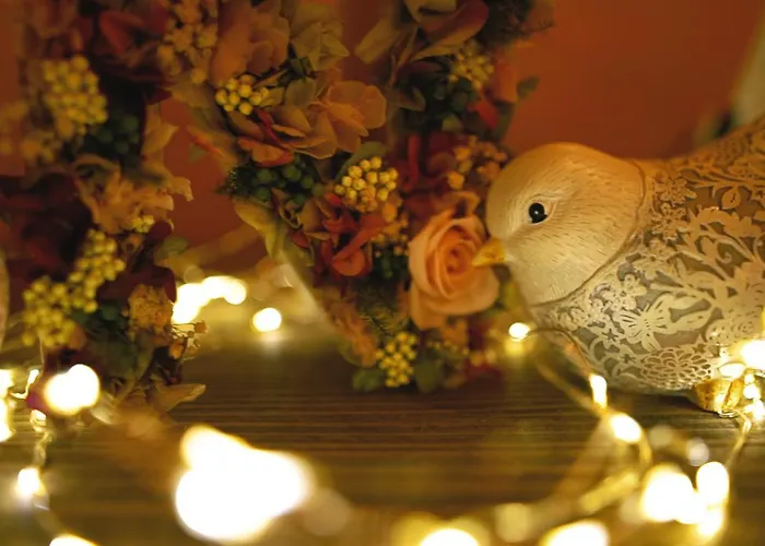 Niditas & Horses Hotel