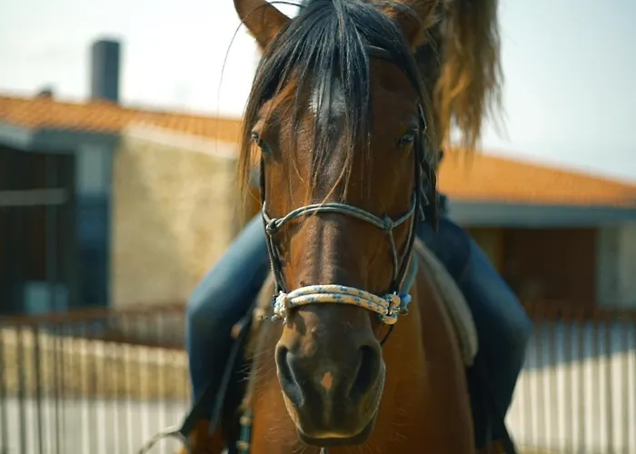 Niditas & Horses Hotel *