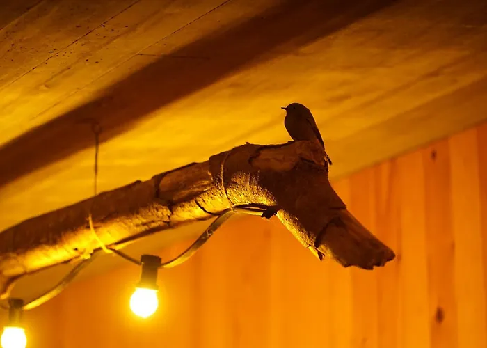 Niditas & Horses * Santillana del Mar