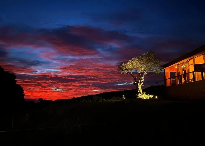 Niditas & Horses Hotel *