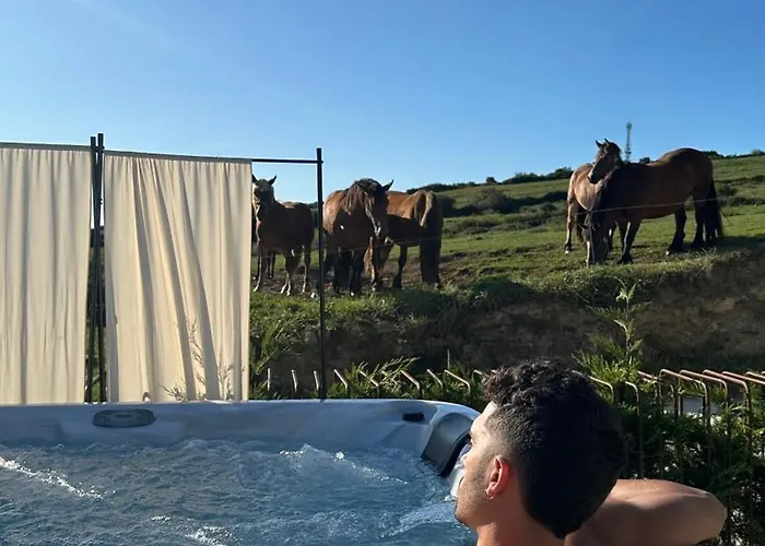 Niditas & Horses Santillana del Mar