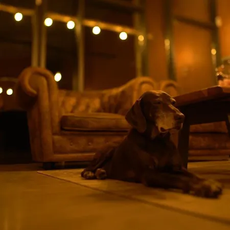 Niditas & Horses * סנטילנה דל מר