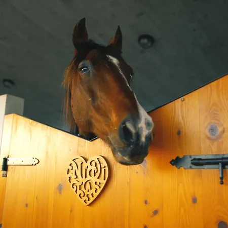 Niditas & Horses Santillana del Mar