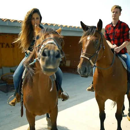 Niditas & Horses * סנטילנה דל מר