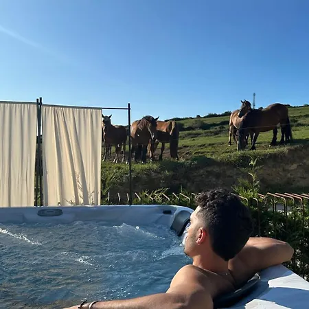 Niditas & Horses סנטילנה דל מר